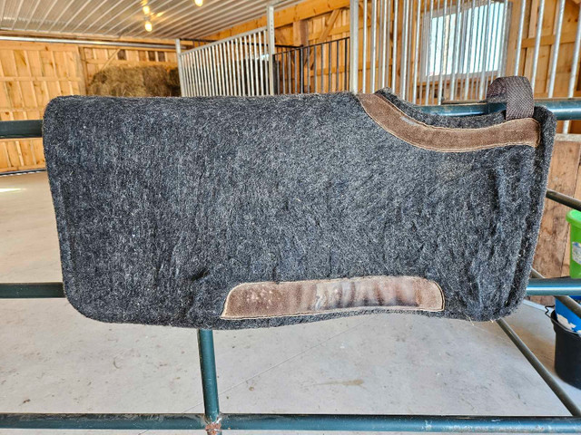 Western horse tack in Equestrian & Livestock Accessories in Belleville