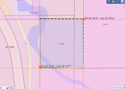 PLACER GOLD CLAIM ON NAVER CREEK. GOOD ACCESS ALL CROWN LAND. TITLE 1116542 IS A SINGLE CELL 19.28 H...