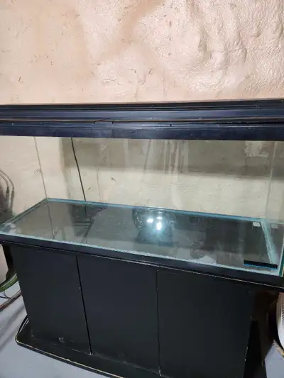 65 gallon aquarium , View more