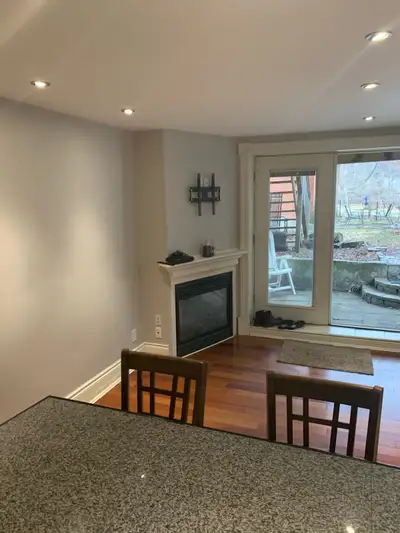 1 bedroom apartment in the Glebe