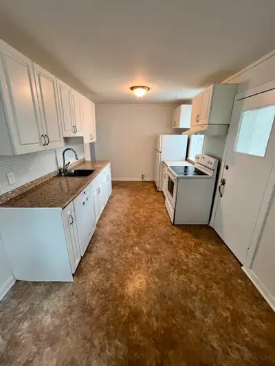 Newly renovated 3 bed 1 bath house