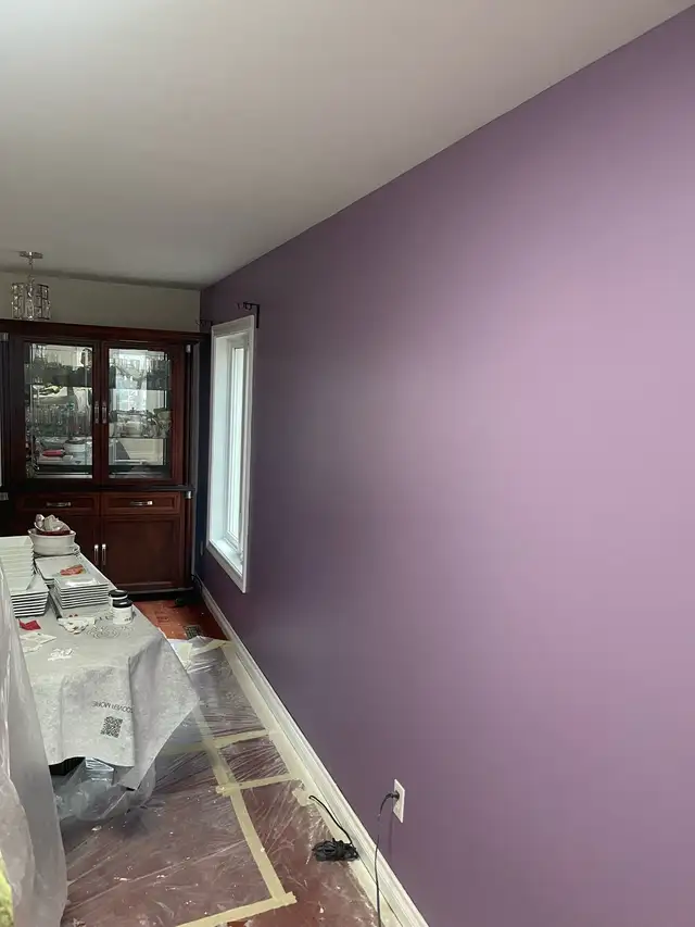 PAINTERS FOR CHEAP510357562762864641
