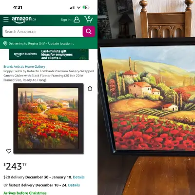 Poppy Fields by Roberto Lombardi Canvas &Black  Fram 22”x22”, View more