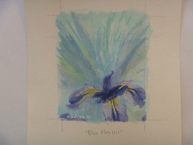 Blue Flag Iris - 4" x 5" ORIGINAL ART in Arts & Collectibles in Winnipeg