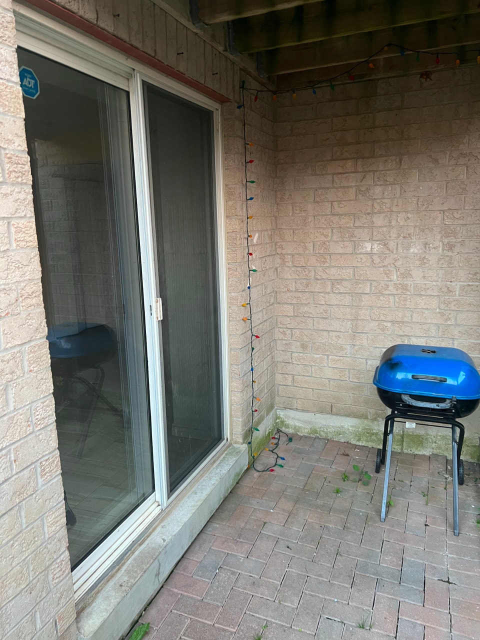 Beautiful 2 Bed 2 Bath Ground Level Basement (Yonge & Davis) 3