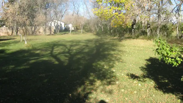 BEAUTIFUL 75 FOOT TREED LOT