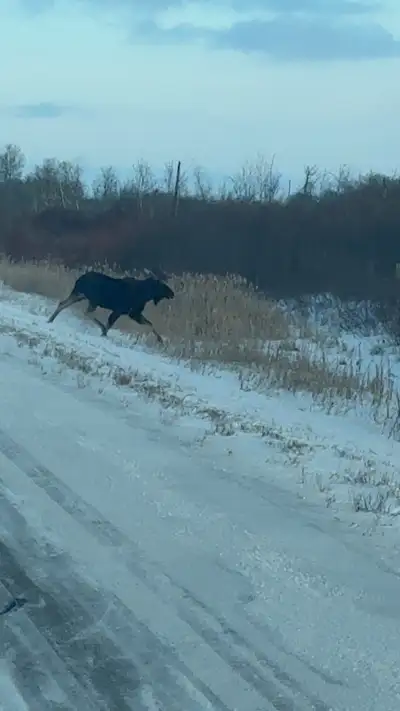 Looking for land to rent for 2026 and beyond for the right land Call or txt 3065708209