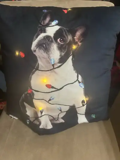 Add a touch of whimsy to your space with this adorabl cushion, featuring a festive Frenchie tangled...