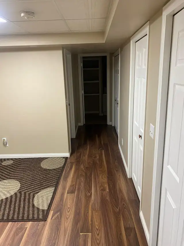 Basement for Rent in Saddleridge