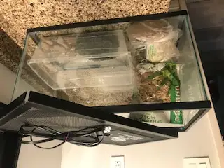 10 Gallon tank64840226724098120