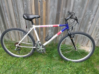 Scott Peak mountain bike (17.5" frame)