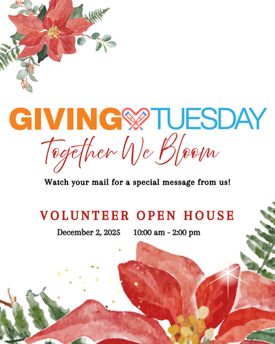 GivingTuesday Open House - December 2 at The Lending Cupboard, View more
