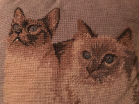 Beautiful needlepoint cushion for cat lovers