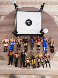 WWE Action Figure Wrestlers with Ring 