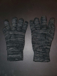 Levis Insulated Photography/Video/Phone Winter Gloves - $40 !!