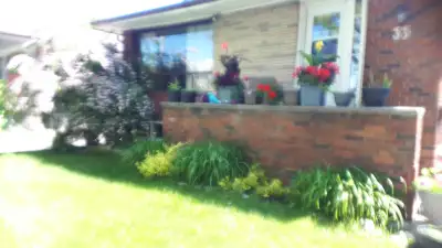 Furnished Room for Rent Brimley & St. Clair Sept 1
