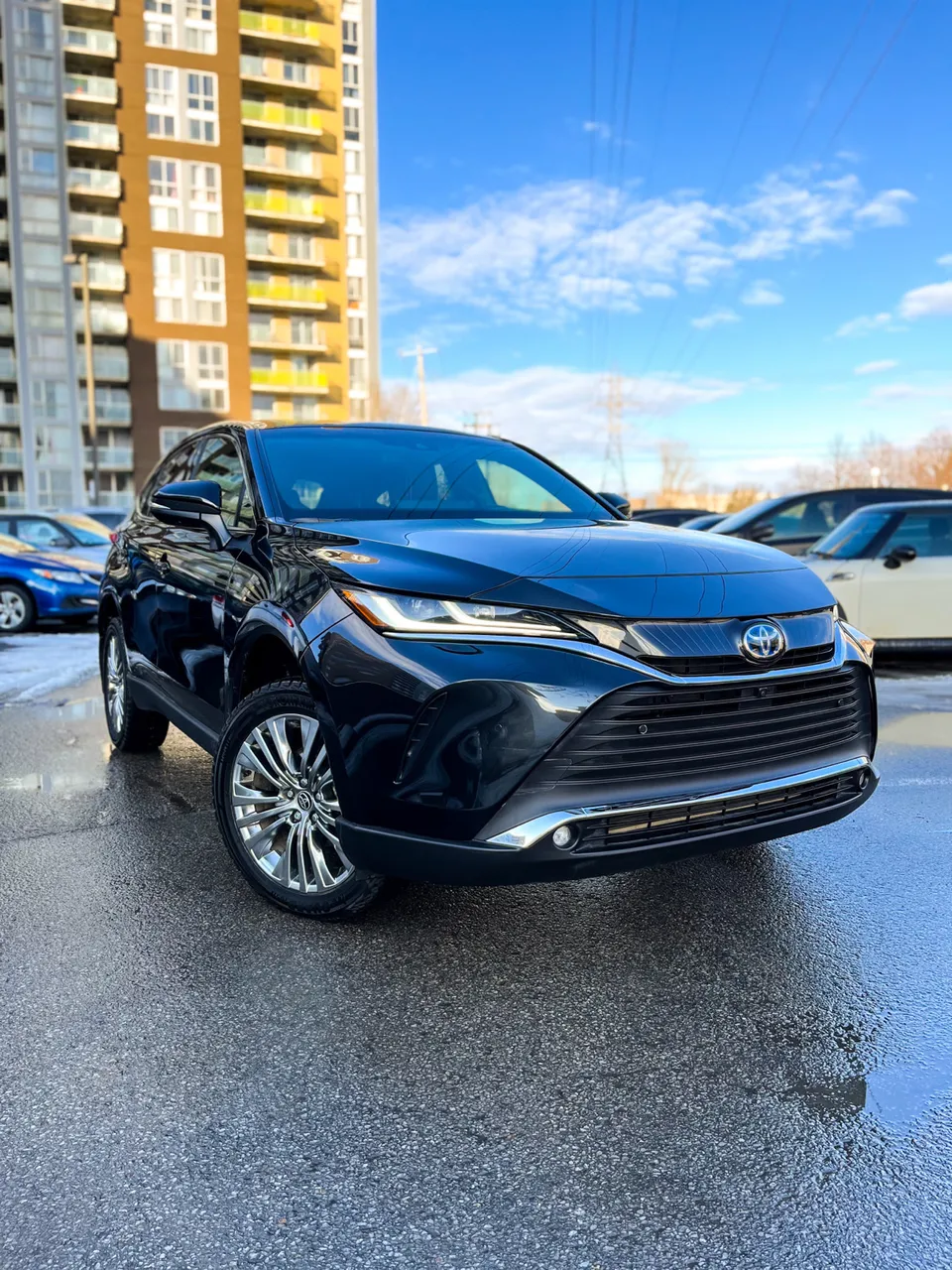 Toyota venza limited 2022