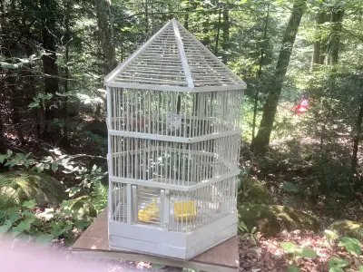 This decorative bird cage would be so sweet in a sunroom, front porch or as part of a garden vignett...