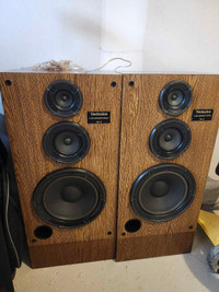 Technics Speakers SB-A13 Model 