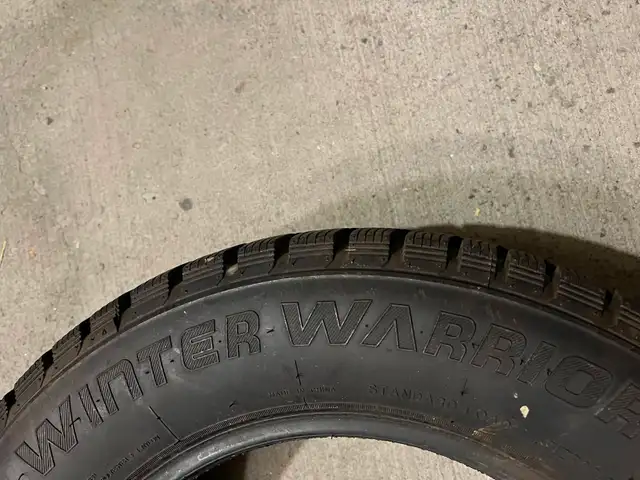 Winter Tires 215/65R16 — Eternity Winter Warrior  in Tires & Rims in Ottawa - Image 4