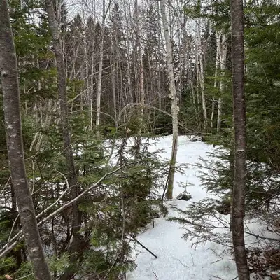 Corner lot in an established neighborhood of North Tetagouche, NB. Culvert and drive access in place...