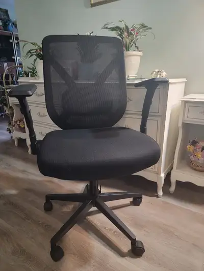 79$ NEW true innovation MESH OFFICE CHAIR, 149$ USD, 200$ CAN after tax duty and exchange, at costco...
