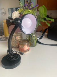 New Black Desk/ Table Lamp- 10$