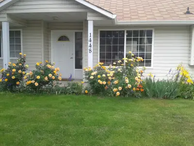 5 bedrooms 4 bathrooms 1/2 duplex... all on one level with no space wasted. Great bright, clean and...