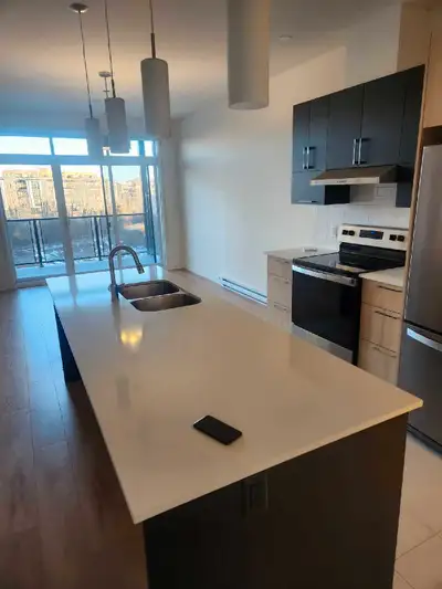 1 bed 1 bath for lease transfer in plateau gatineau! Includes electricity, water, internet, basic ca...
