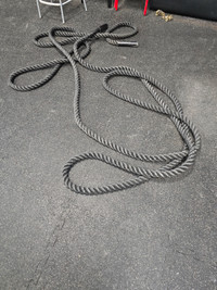 2 long ropes
