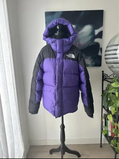 The north face Himalayan Down jacket, View more