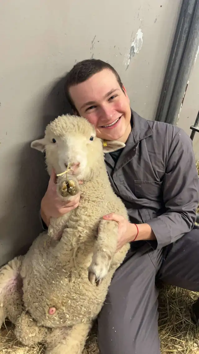 Tutoring (4+ Years Exp.) | Physics • Mathematics • Chemistry64623143496835122