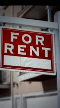 Basement apartment for rent