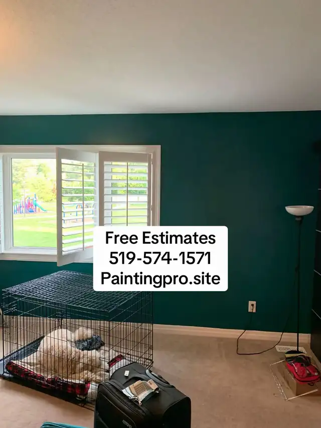 Professional Cabinets Painting Services- Doors, Walls, Trims63006660038913123
