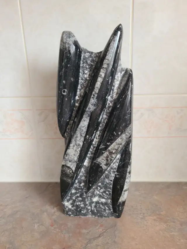 Polished orthoceras fossil tower in Hobbies & Crafts in Strathcona County - Image 3