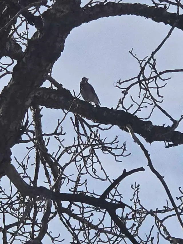 please read ad65636571766018120