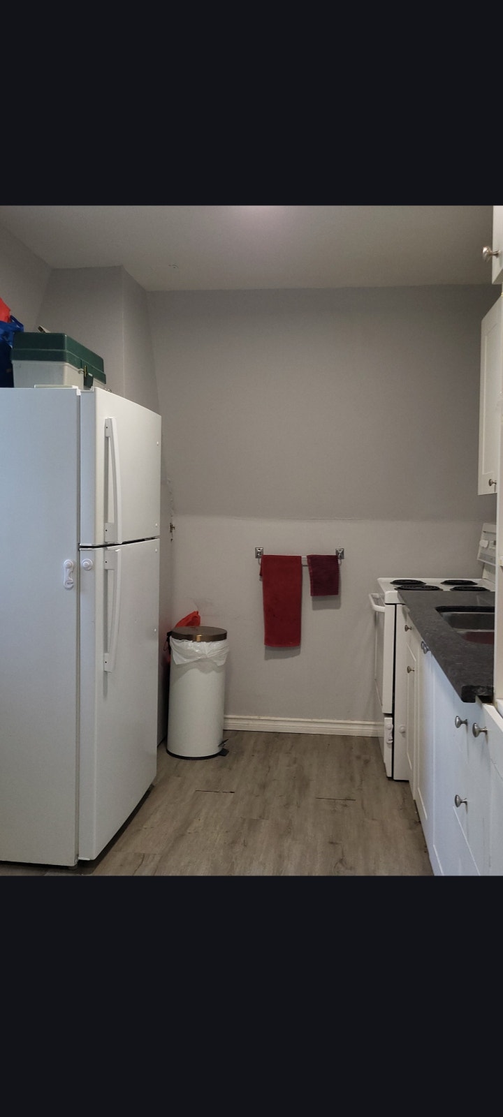 2 Bedroom Apartment with Large Sundeck 5