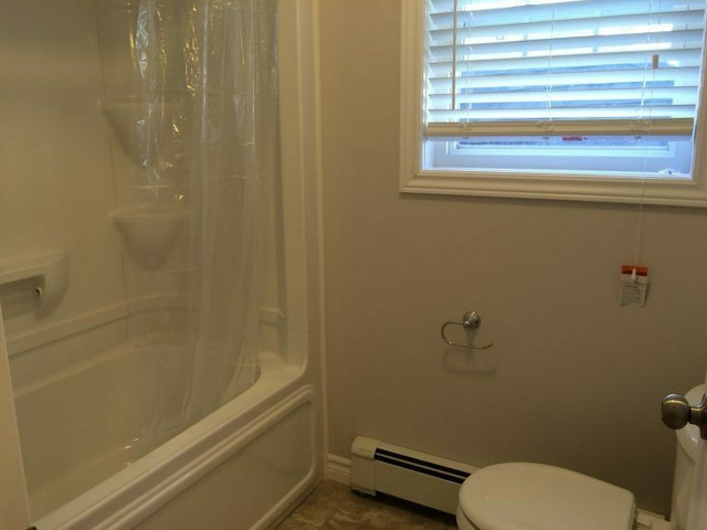 King Street West and Union - 3 bedroom for rent in Long Term Rentals in Kingston - Image 4