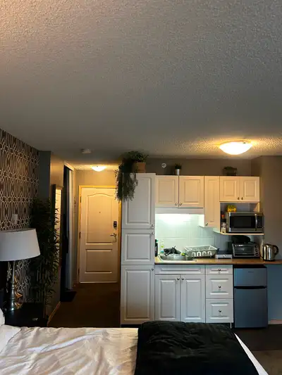 Pet-Friendly Studio DownTown Edmonton