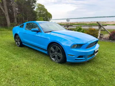 I’m the second owner of this beautiful 2013 Mustang Club of America Grabber Blue, having cared for i...