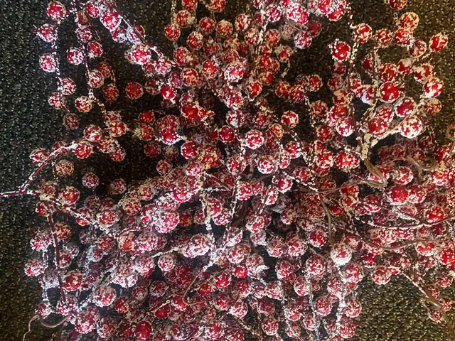 Frosted wired cranberries
