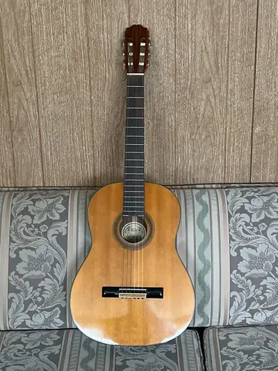Hondo Classical Guitar, View more