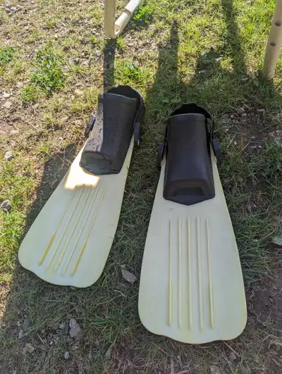 Like new 17 in flippers?, View more