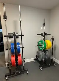 Bells of Steel bumper plate and weight tree 2.0