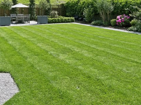 Grass cut- summer maintenance in Patio & Garden Furniture in Kitchener / Waterloo