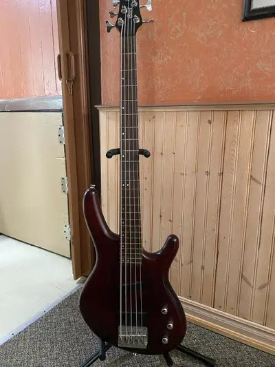 Cort 5 string bass , View more