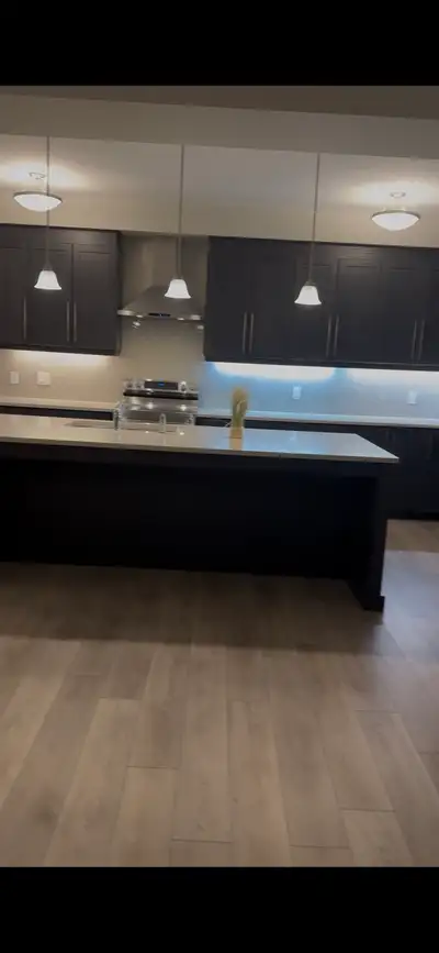 professional cleaning services, View more