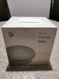 Google Home Mini bnib
