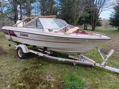 Boat project for the handyman. This boat requires new interior and seats. As well the engine and gas...