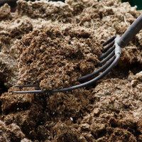 compost manure fertilizer for sale